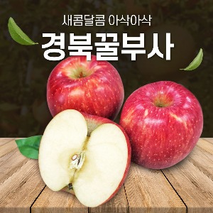 새콤달콤 아삭아삭 “경북 꿀부사” 사과 《음가과수원》
